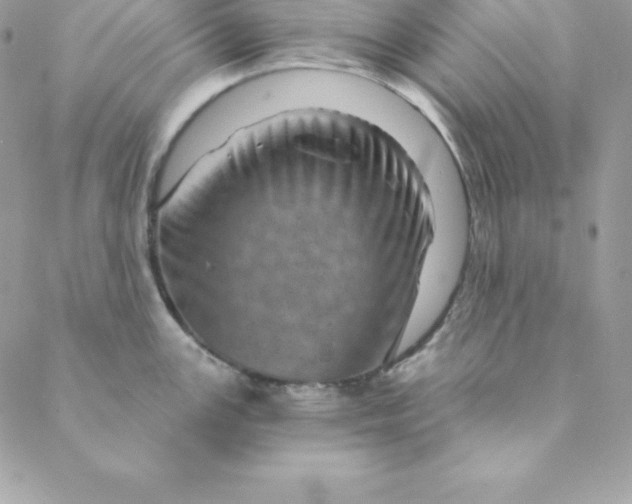 X0000088731147200706141632