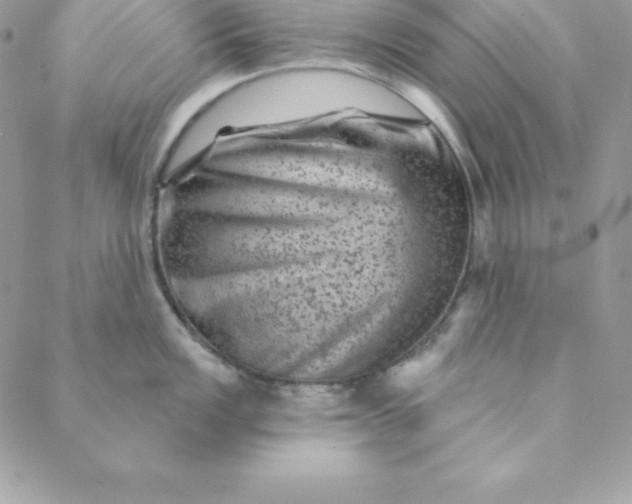 X0000088731149200706141632