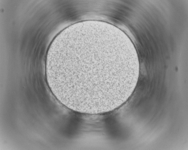 X0000088731150200706141632