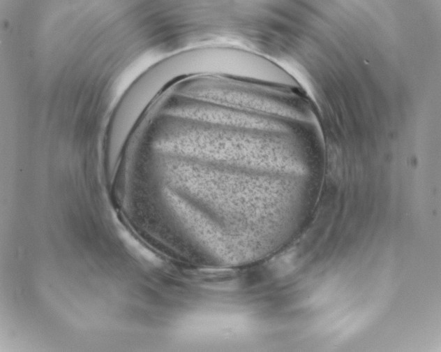 X0000088731151200706141632
