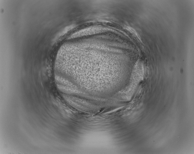 X0000088731159200706141631