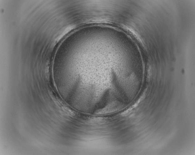 X0000088731162200706141631