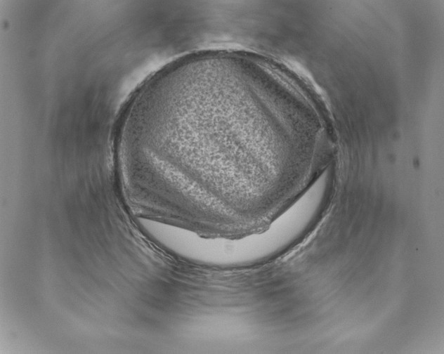 X0000088731167200706141631
