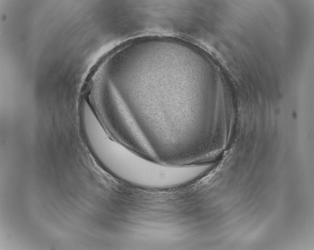 X0000088731168200706141631