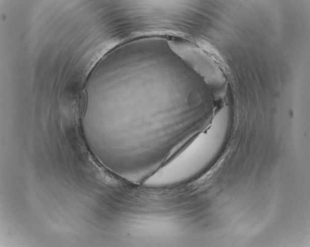 X0000088731177200706141630