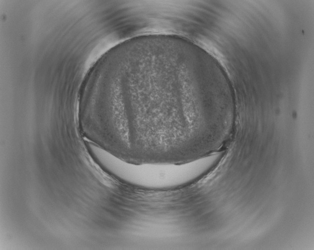X0000088731179200706141630