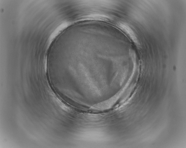 X0000088731180200706141630