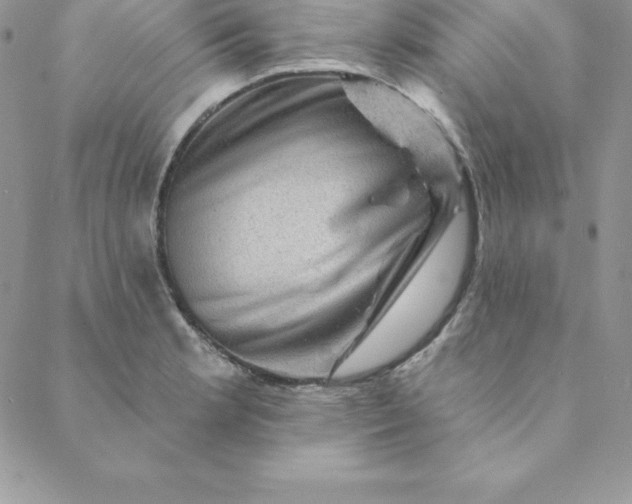 X0000088731181200706141630