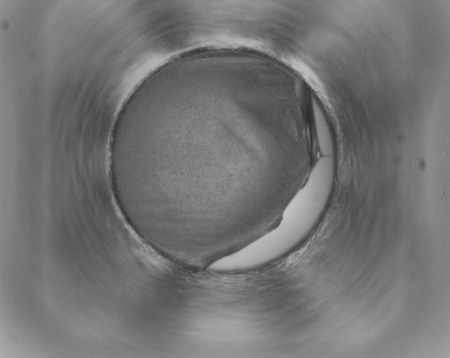 X0000088731183200706141630