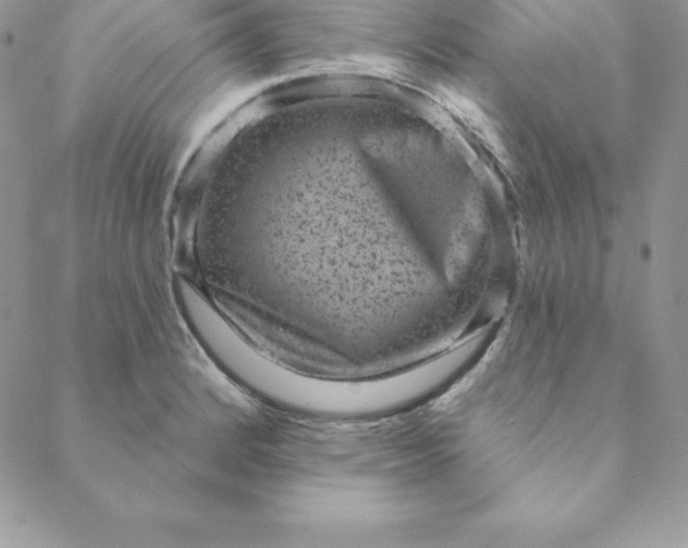 X0000088731184200706141630