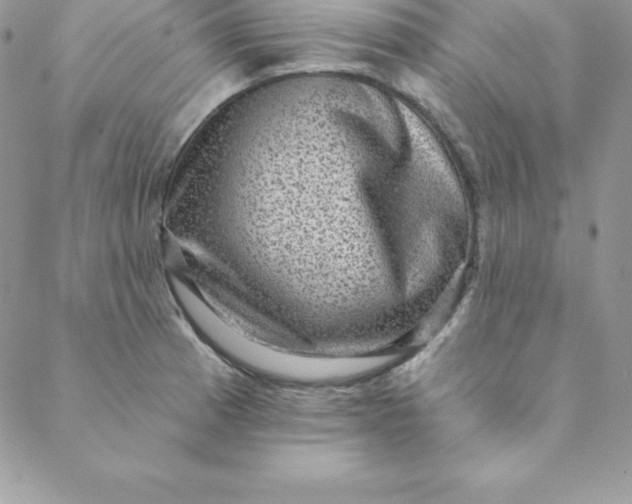 X0000088731185200706141630