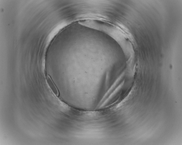 X0000088731188200706141630