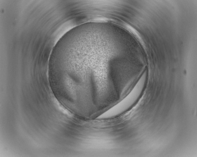 X0000088731194200706141630