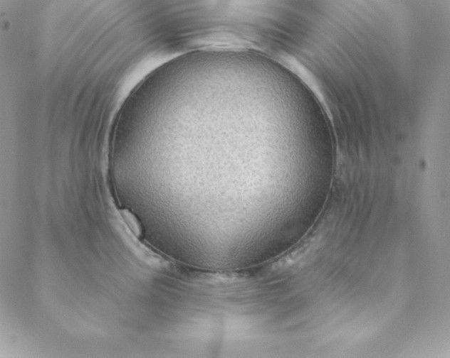 X0000088731195200706141630