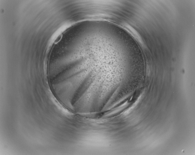 X0000088731196200706141630
