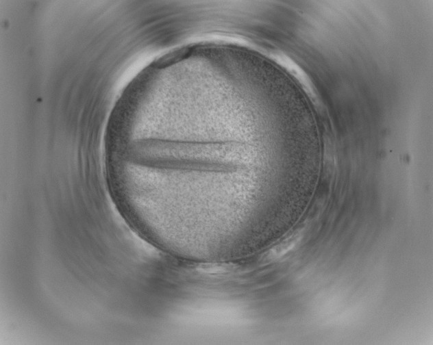 X0000088731199200706141630