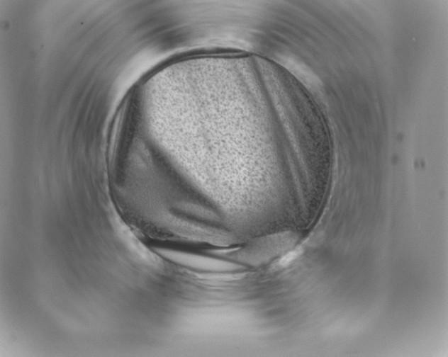 X0000088731200200706141630