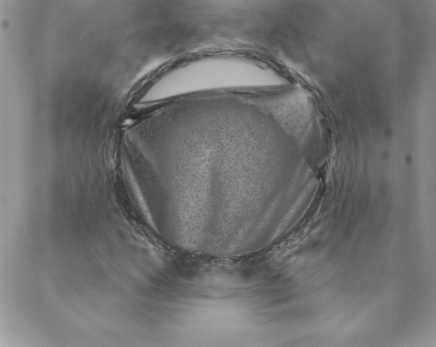 X0000088731206200706141629