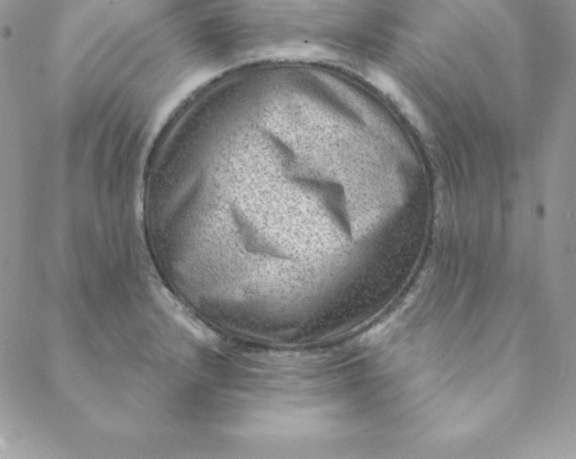 X0000088731232200706141630