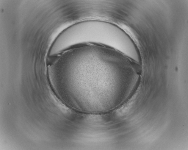 X0000088731238200706141630