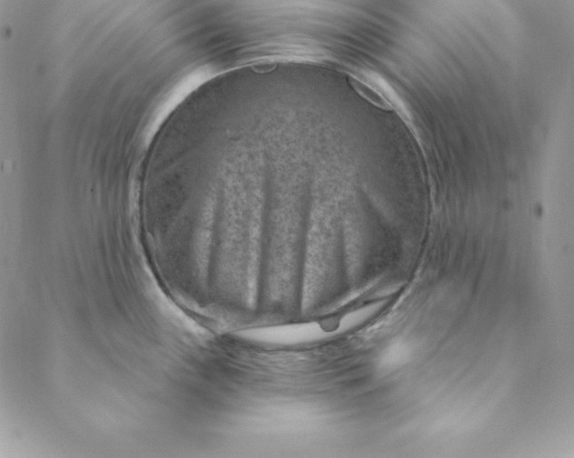 X0000088731243200706141630