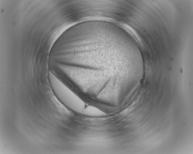 X0000088731244200706141630