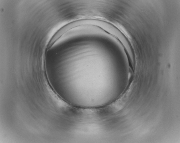 X0000088731246200706141630