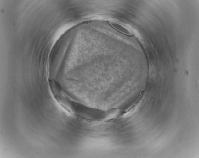 X0000088731247200706141630