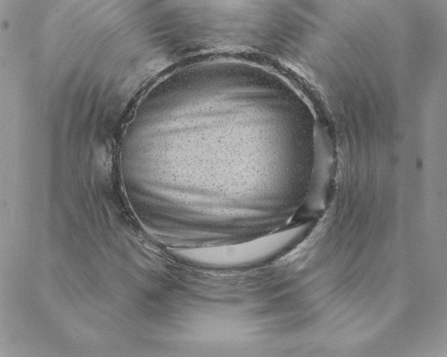 X0000088731257200706141629