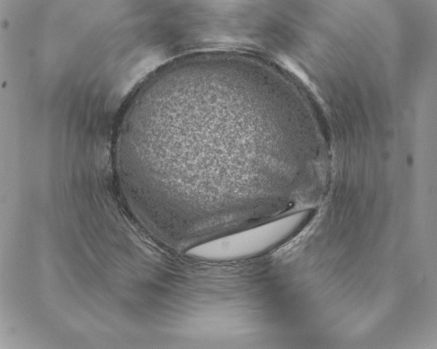X0000088731259200706141629