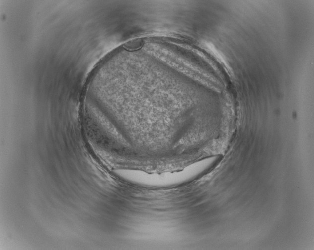 X0000088731260200706141629