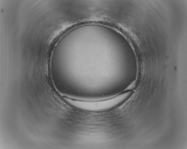 X0000088731262200706141629