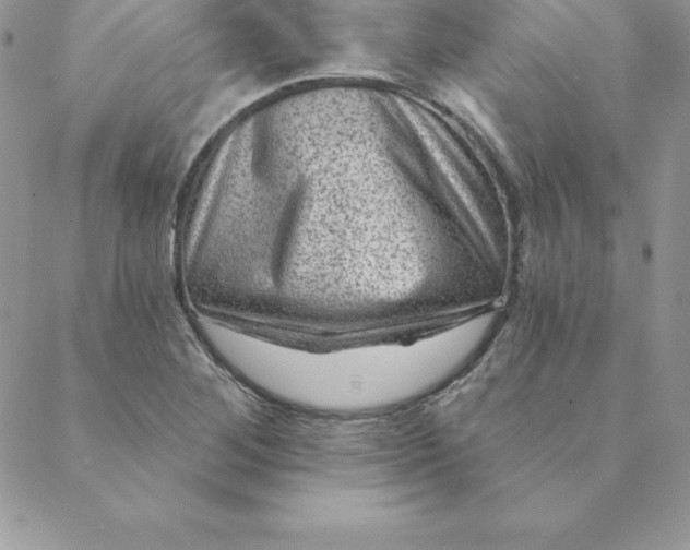 X0000088731268200706141629