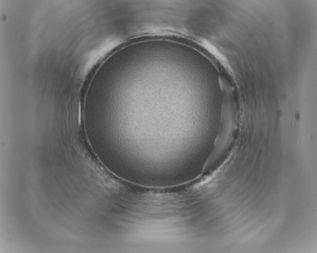 X0000088731269200706141629