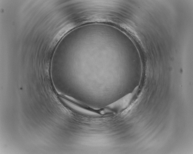 X0000088731273200706141629