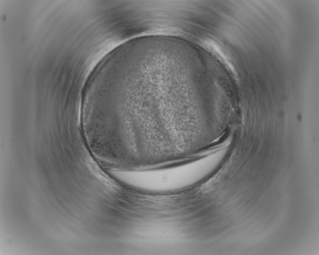 X0000088731276200706141629