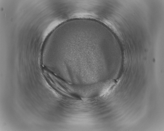 X0000088731277200706141629