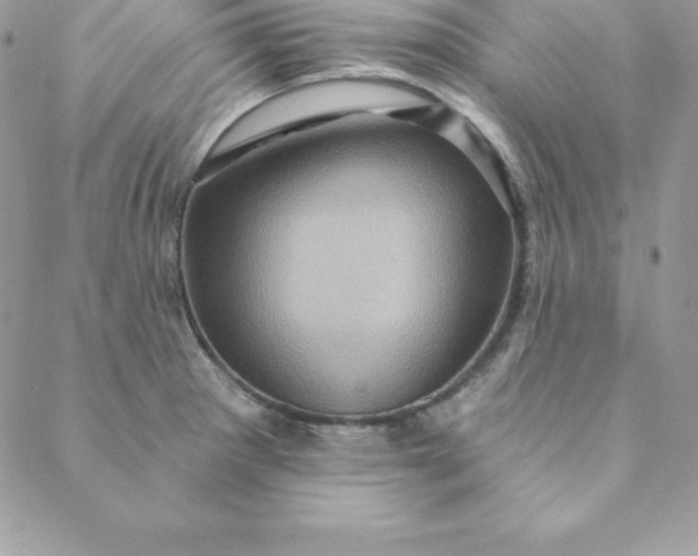 X0000088731281200706141629