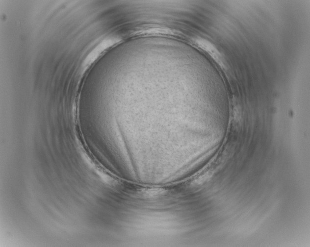 X0000088731282200706141629