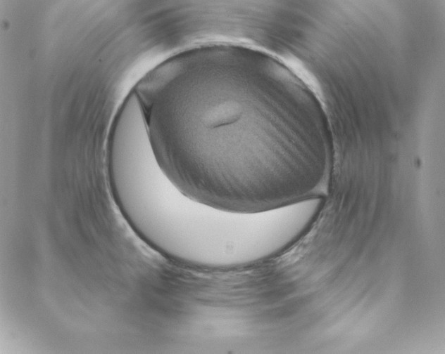 X0000088731287200706141629