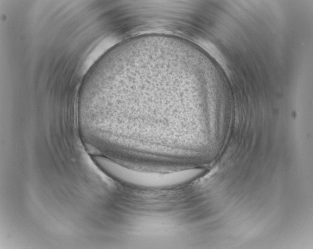 X0000088731290200706141629