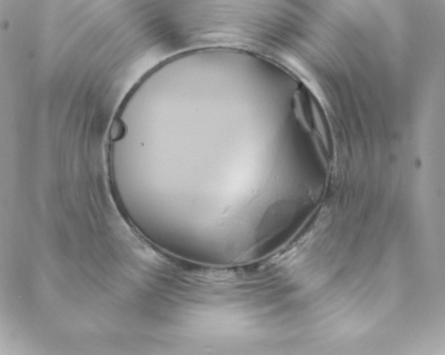 X0000088731291200706141629