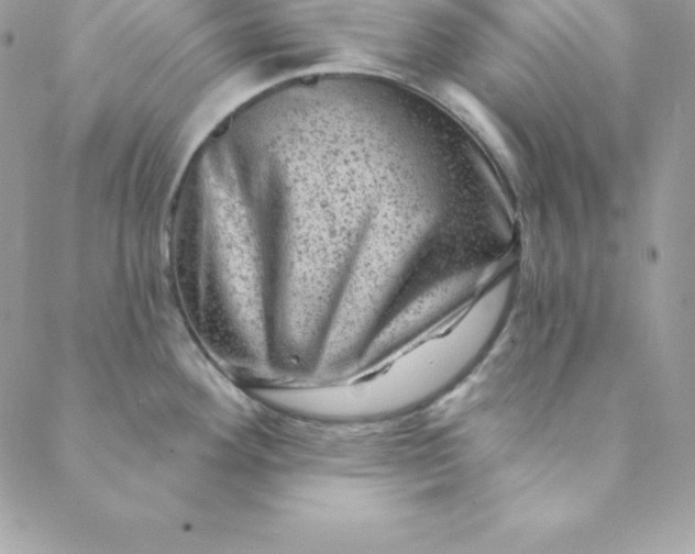 X0000088731292200706141629