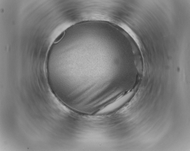 X0000088731293200706141629