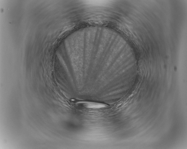 X0000088731297200706141628