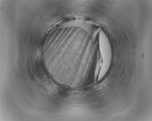 X0000088731300200706141628