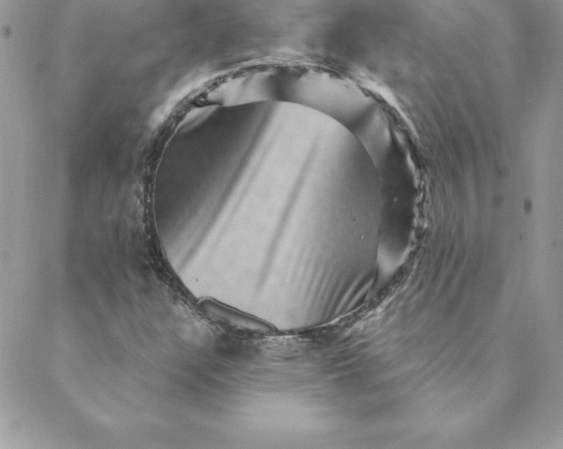 X0000088731304200706141628