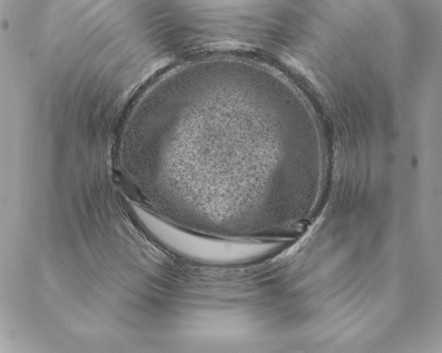 X0000088731305200706141628