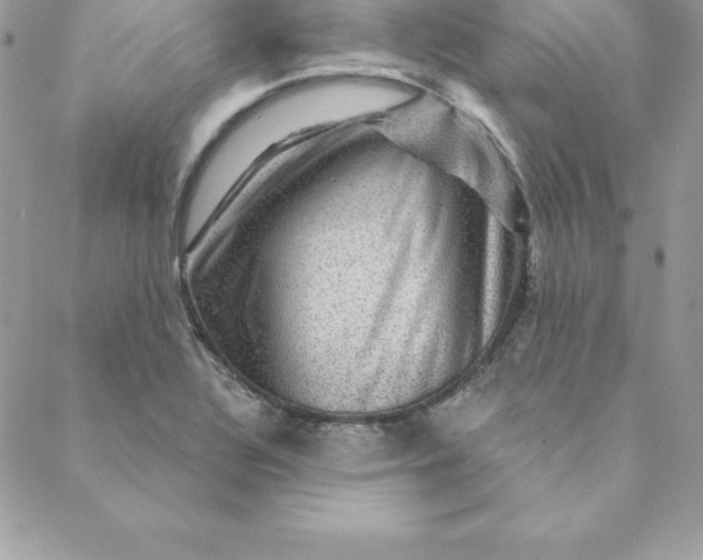X0000088731320200706141628