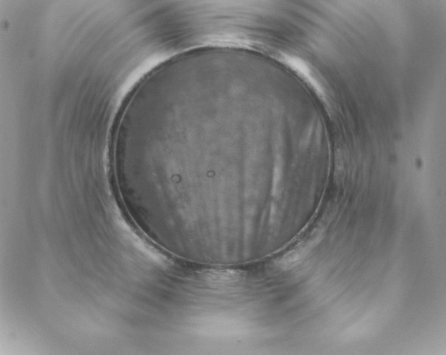 X0000088731331200706141628